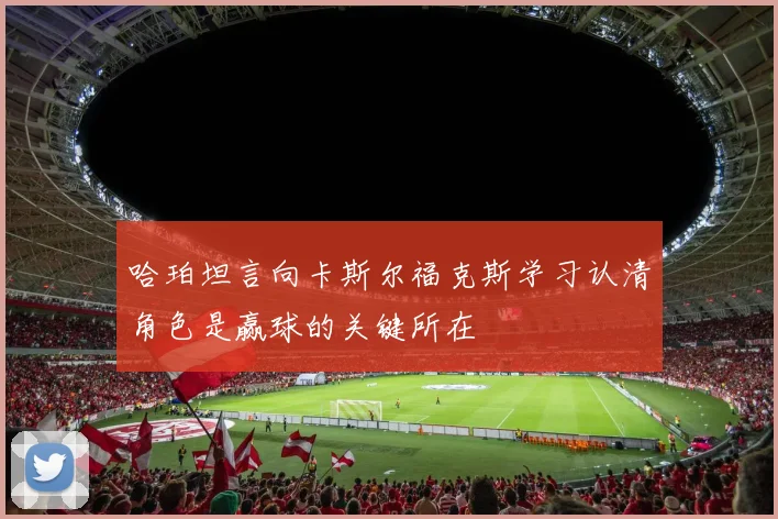 哈珀坦言向卡斯尔福克斯学习认清角色是赢球的关键所在